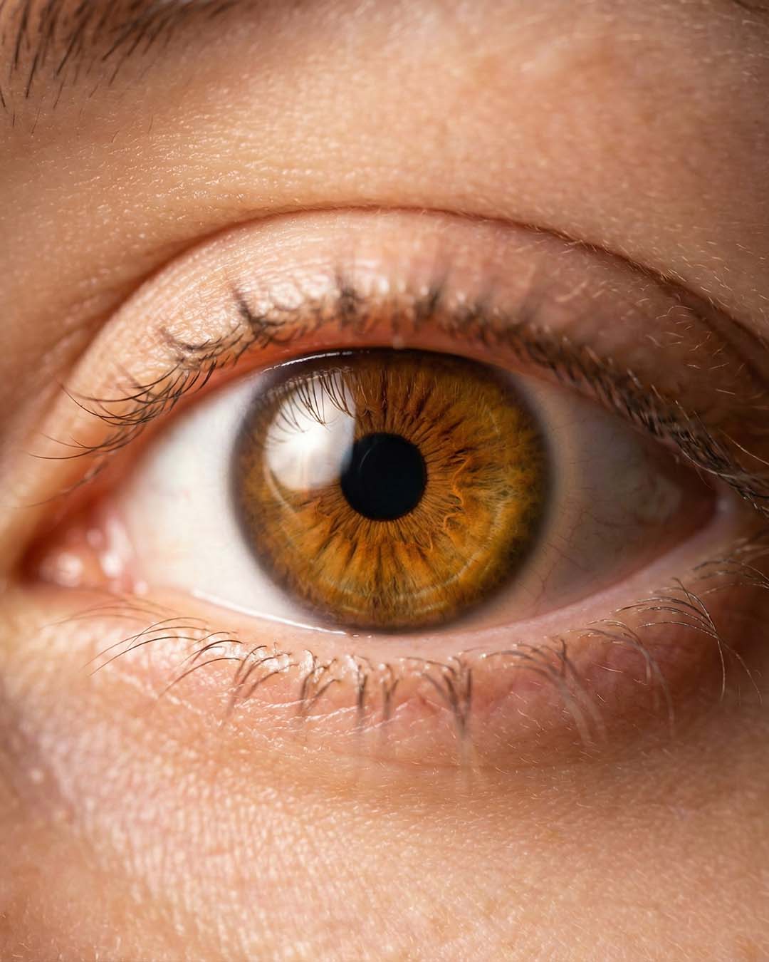 Eye care - Ajak Medical